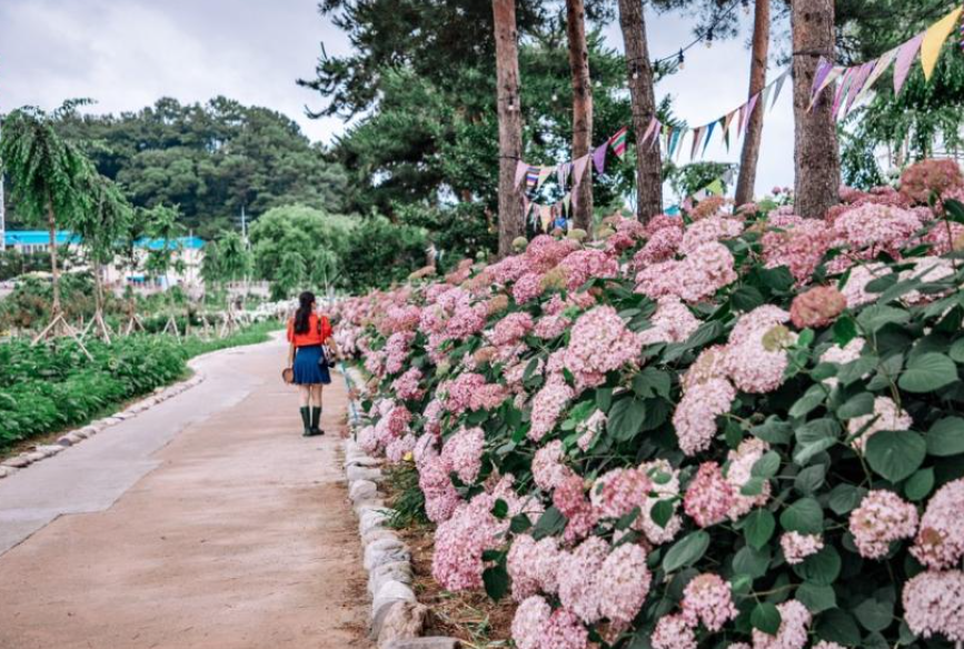 공주 가볼만한곳 베스트10