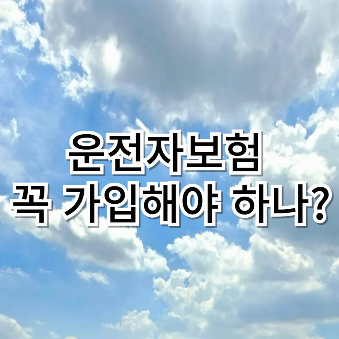 운전자보험, 꼭 가입해야 하나?
