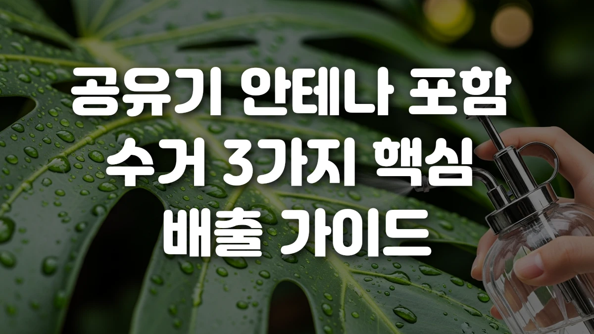 공유기 안테나 포함 수거 3가지 핵심 배출 가이드