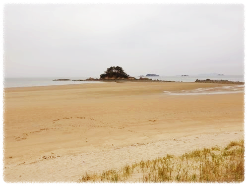 학암포해수욕장