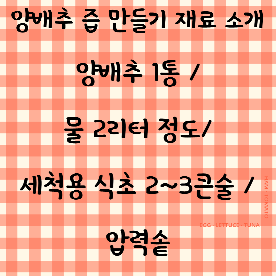 양배추 즙 만들기