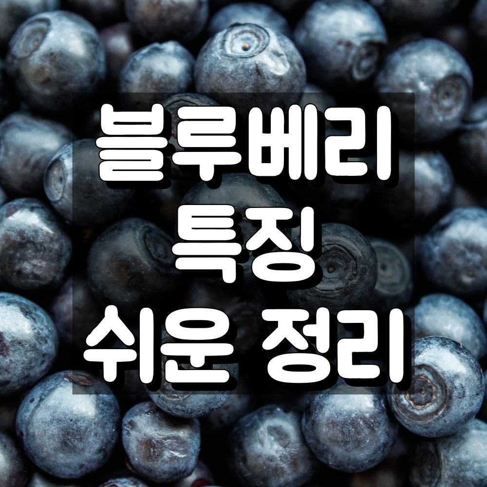 블루베리 100g 칼로리, 효능, 부작용 및 혈당 관리와 당뇨와의 관계 대표 이미지