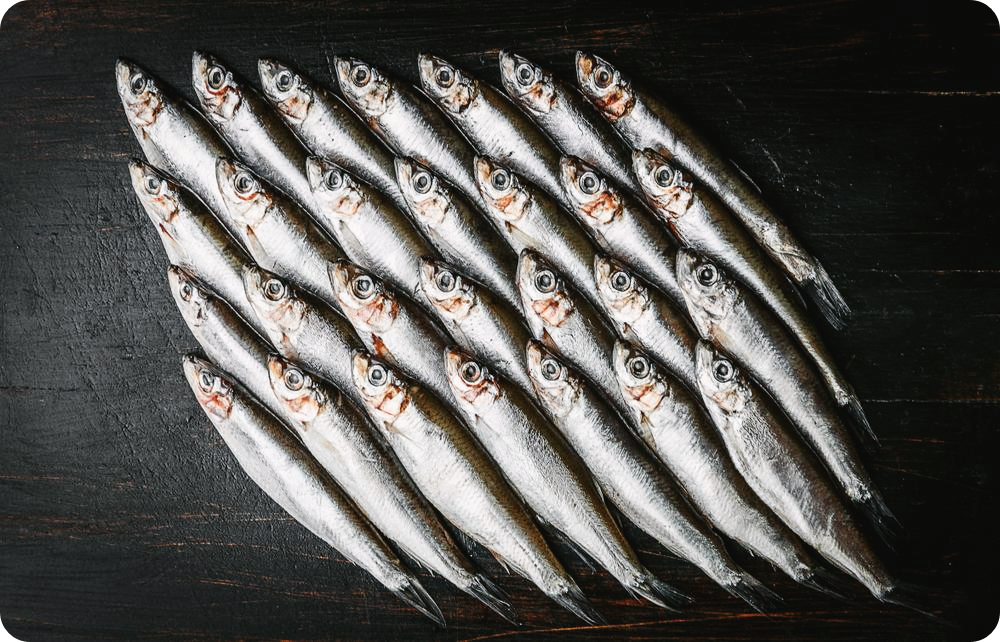 골다공증에-좋은-음식