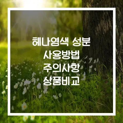 헤나염색 성분 사용방법 주의사항 부작용 상품비교