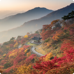 2025년 단풍 절정 시기&middot;명소 이미지
