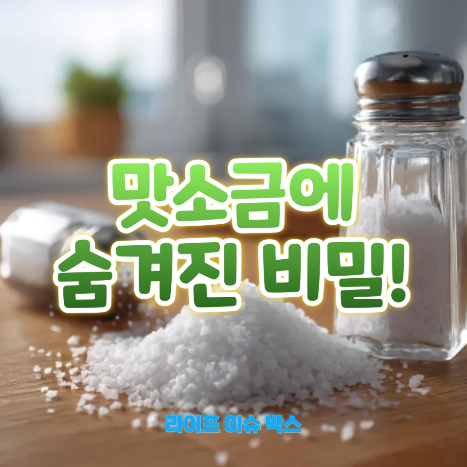 맛소금에 숨겨진 비밀!