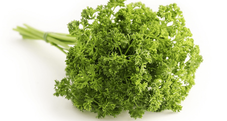 파슬리 효능 - 23