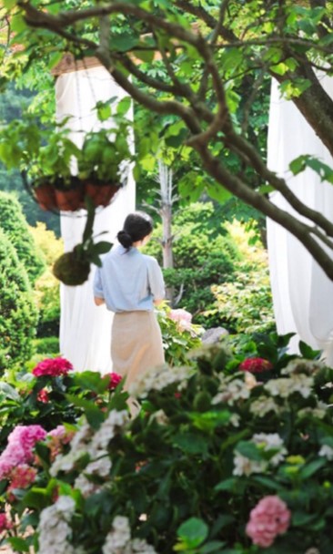 아침고요 수국 전시회