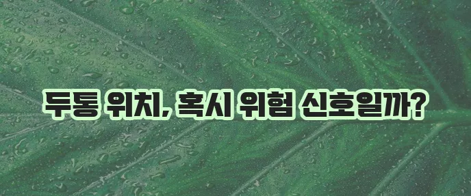 두통 부위별로 어떤 질환을 의심해야 할까요?
