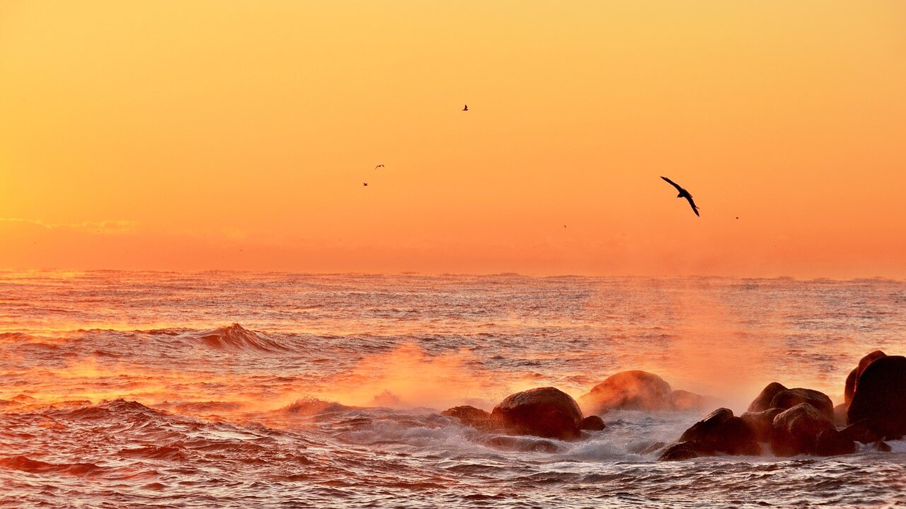 유명한 덕구온천 사진