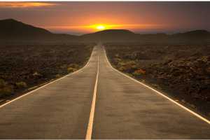 고양이 로드킬 신고 동물 사체 처리 보상