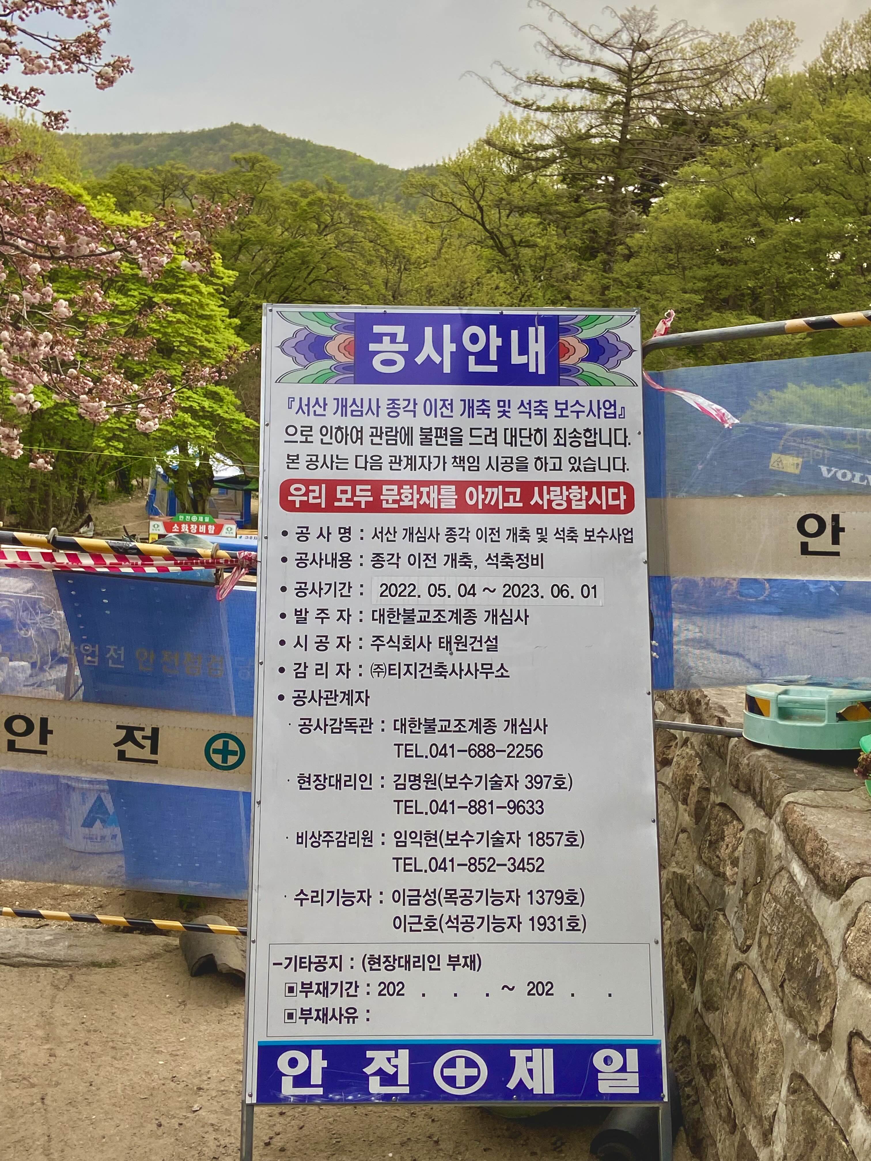 서산 겹벚꽃