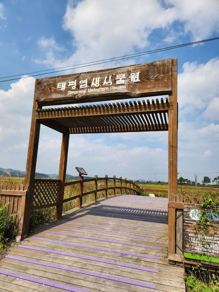 신안 가볼만한곳 베스트 10