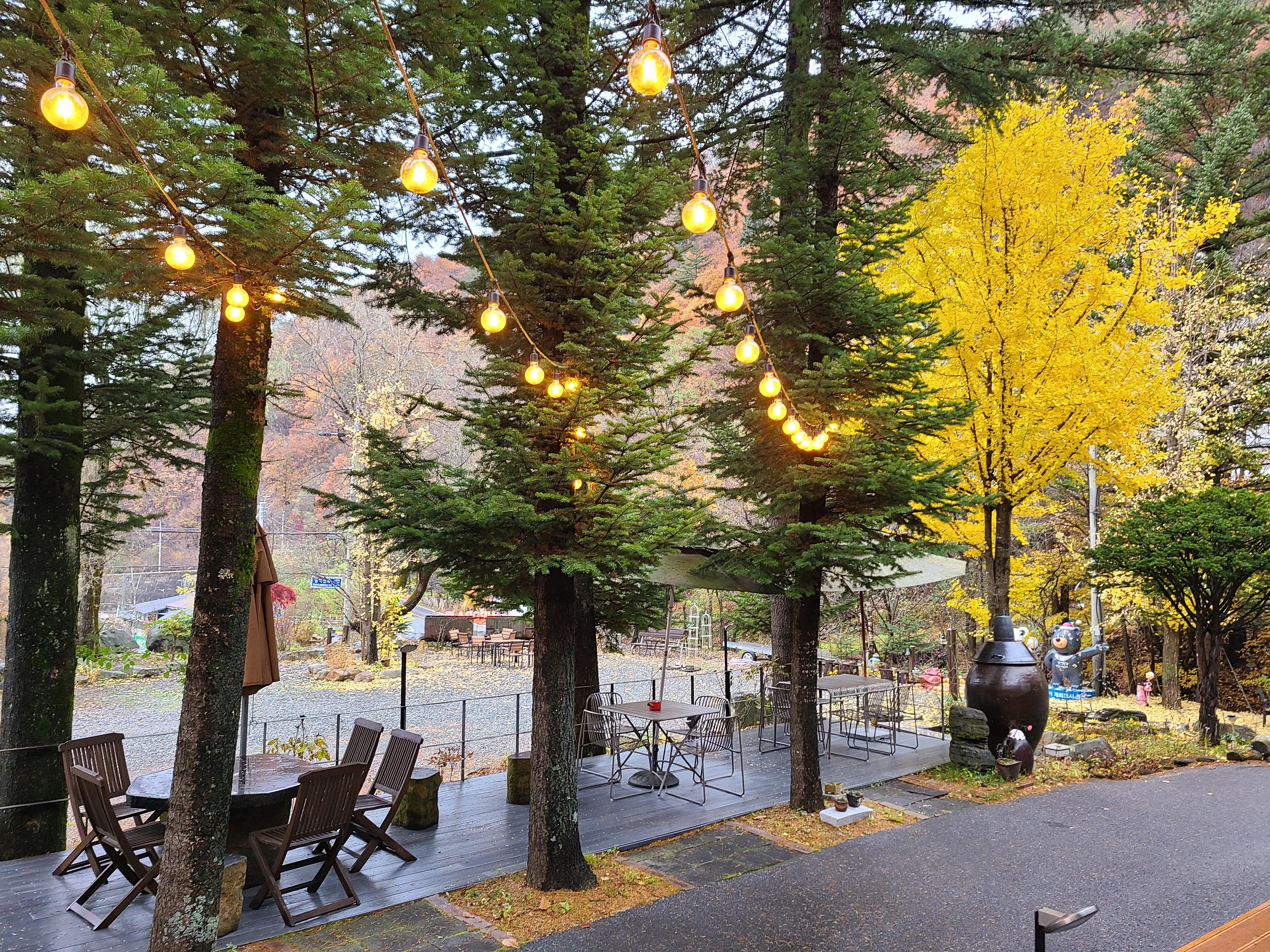 카페 아우로라 건물 앞 나물들과 테이블 좌석들