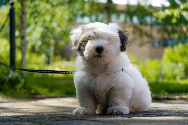 김종원 작가의 『어른의 품격을 채우는 100일 필사 노트』