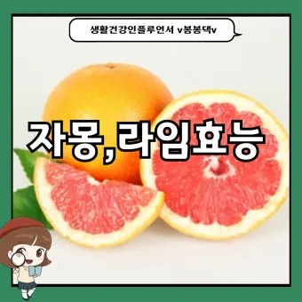 자몽 효능과 건강 효과_12