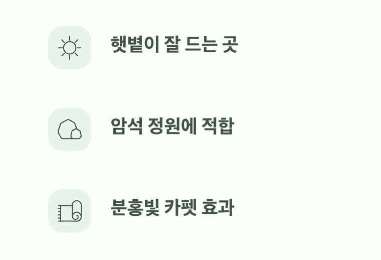 정원의 소금 같은 존재