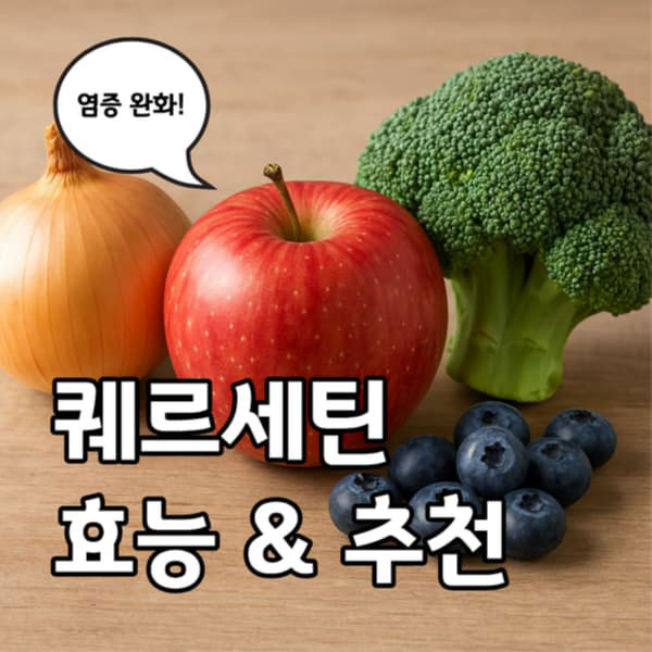 퀘르세틴 효능과 제품 추천 - 내돈내산