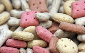 강아지 간식 선택 4