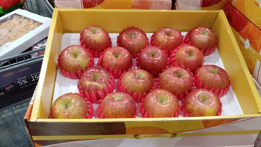 코스트코 사과 세트 5kg
■단가 940원 / 100g
■가격 46,990원
■원산지 : 국내산