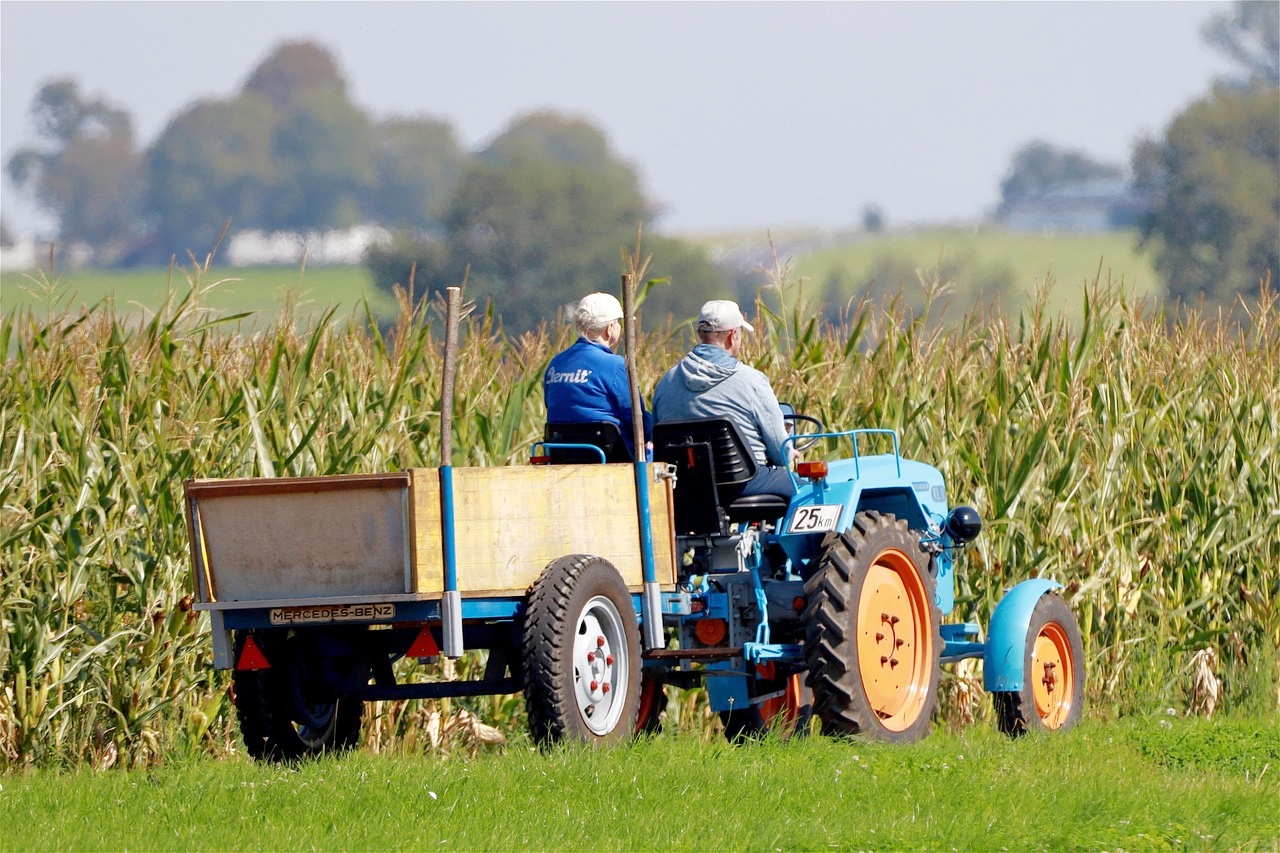 농촌-농사-트래커-농기계-타고있는-남자-여자