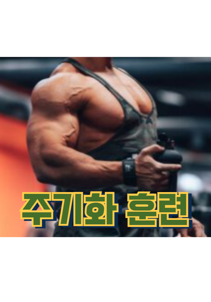 1.주기화 훈련 (Periodization Training)