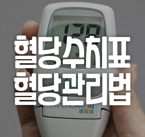 혈당 정상수치표 혈당관리법