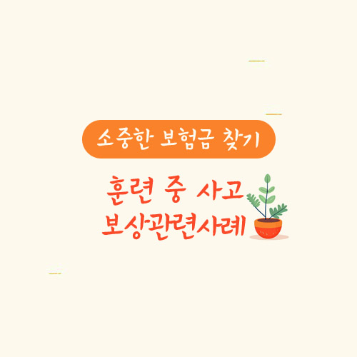 훈련 중 사고, 보상관련사례