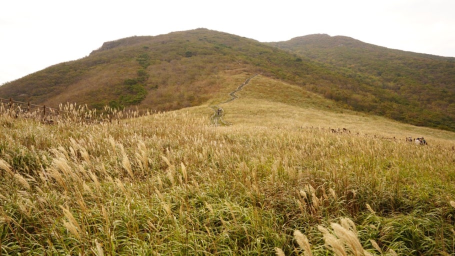 아이와 함께 떠나는 울산 간월재 여행|영남알프스 억새명소 완벽 가이드 관련 사진