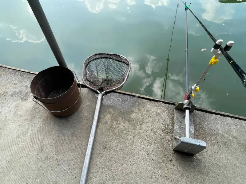 뜰채 제공된 모습