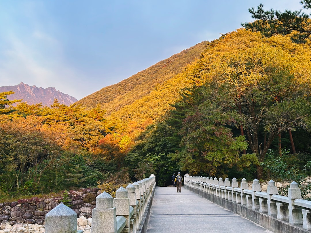 Gangwon