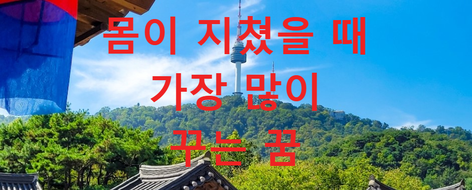 꿈과건강