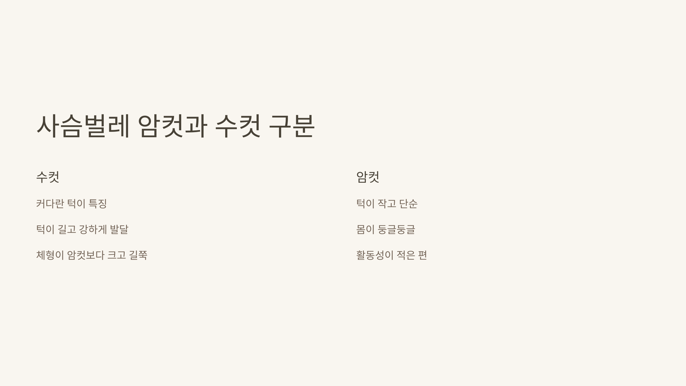 사슴벌레 사진입니다.