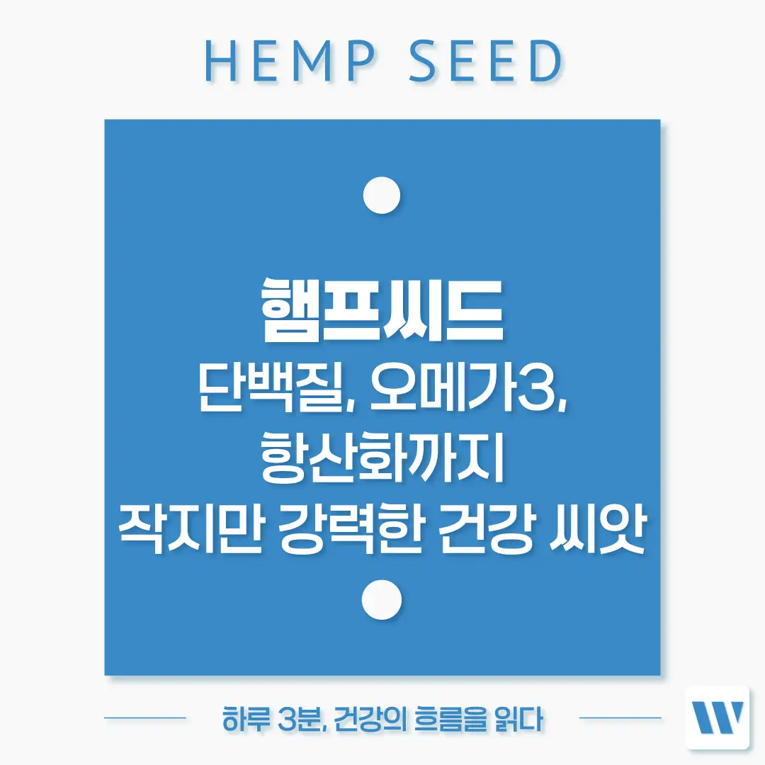 햄프씨드 효능 단백질 오메가3 항산화