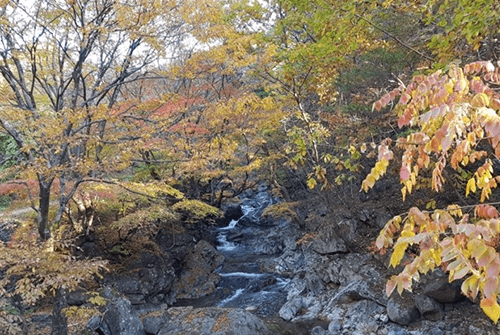 초암사09