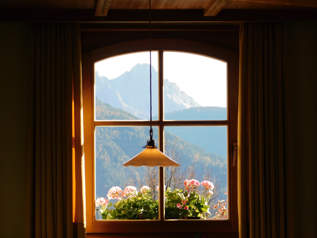 Window.