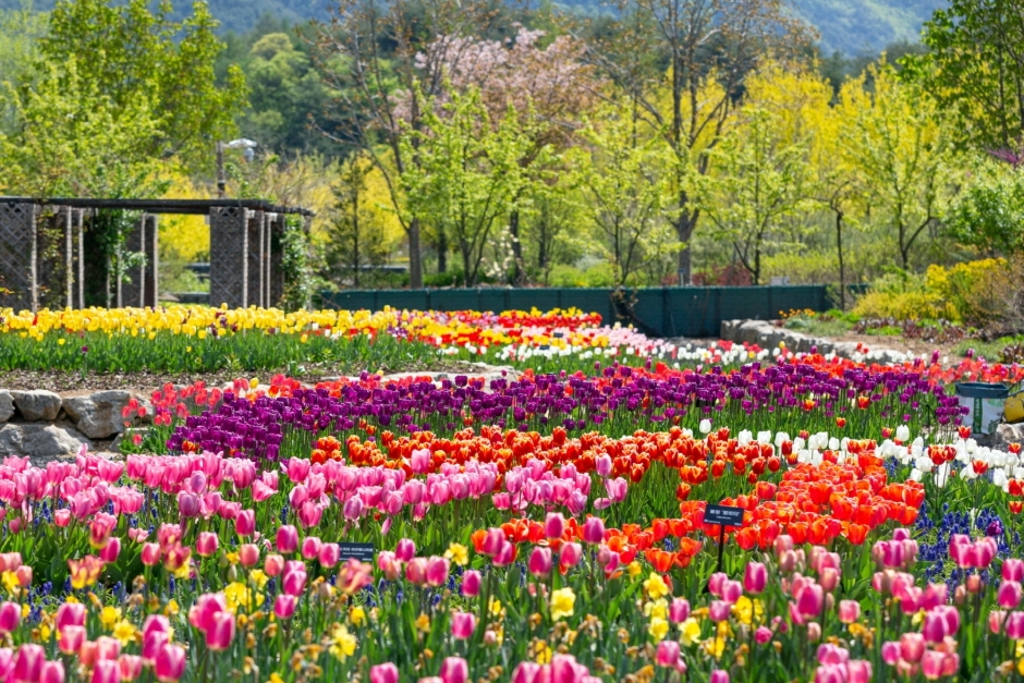 봉화 가볼만한곳 베스트10