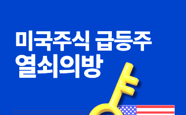 미국급등주 투자