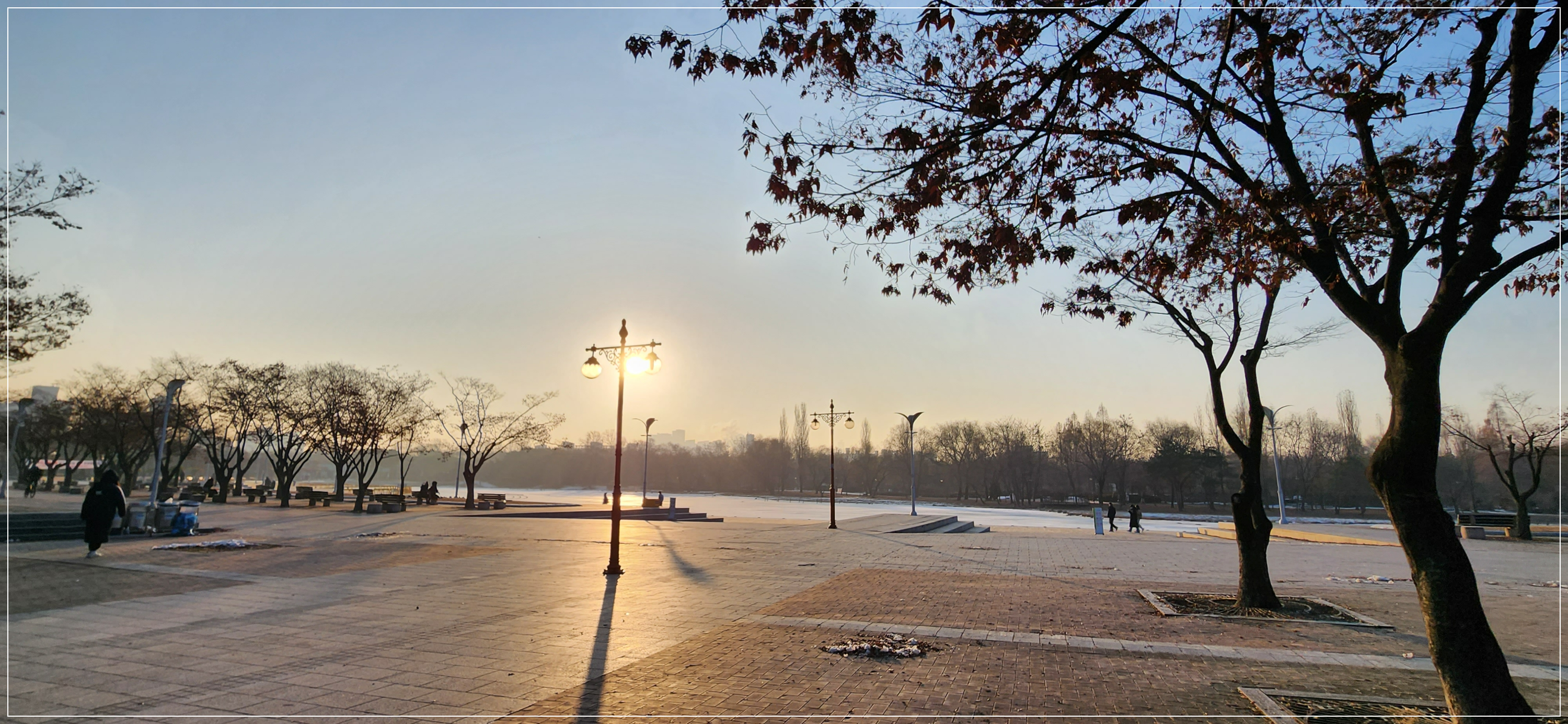 월드컵공원평화공원8M억새대형토끼