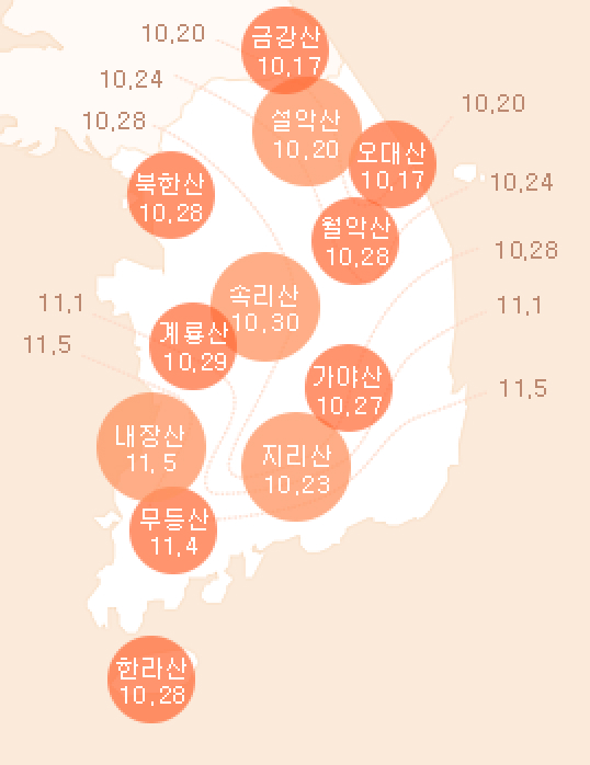 2024 단풍 절정 시기