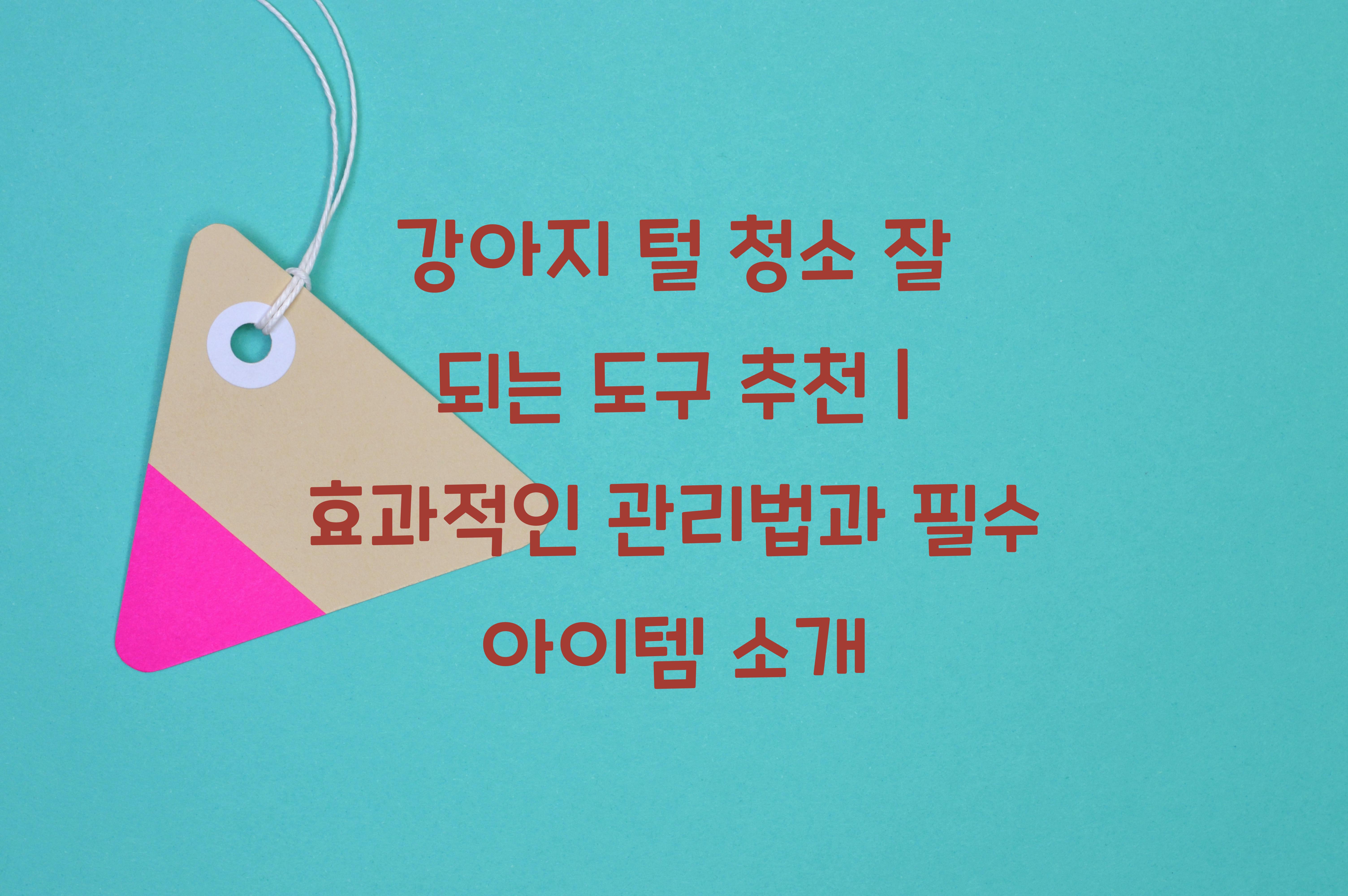 강아지 털 청소 잘 되는 도구 추천