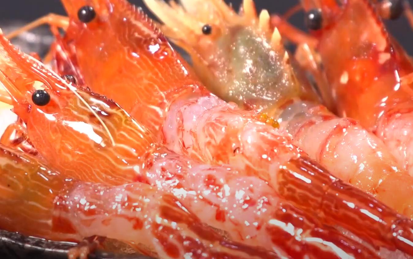 6시내고향 양양 독도새우 꽃새우회