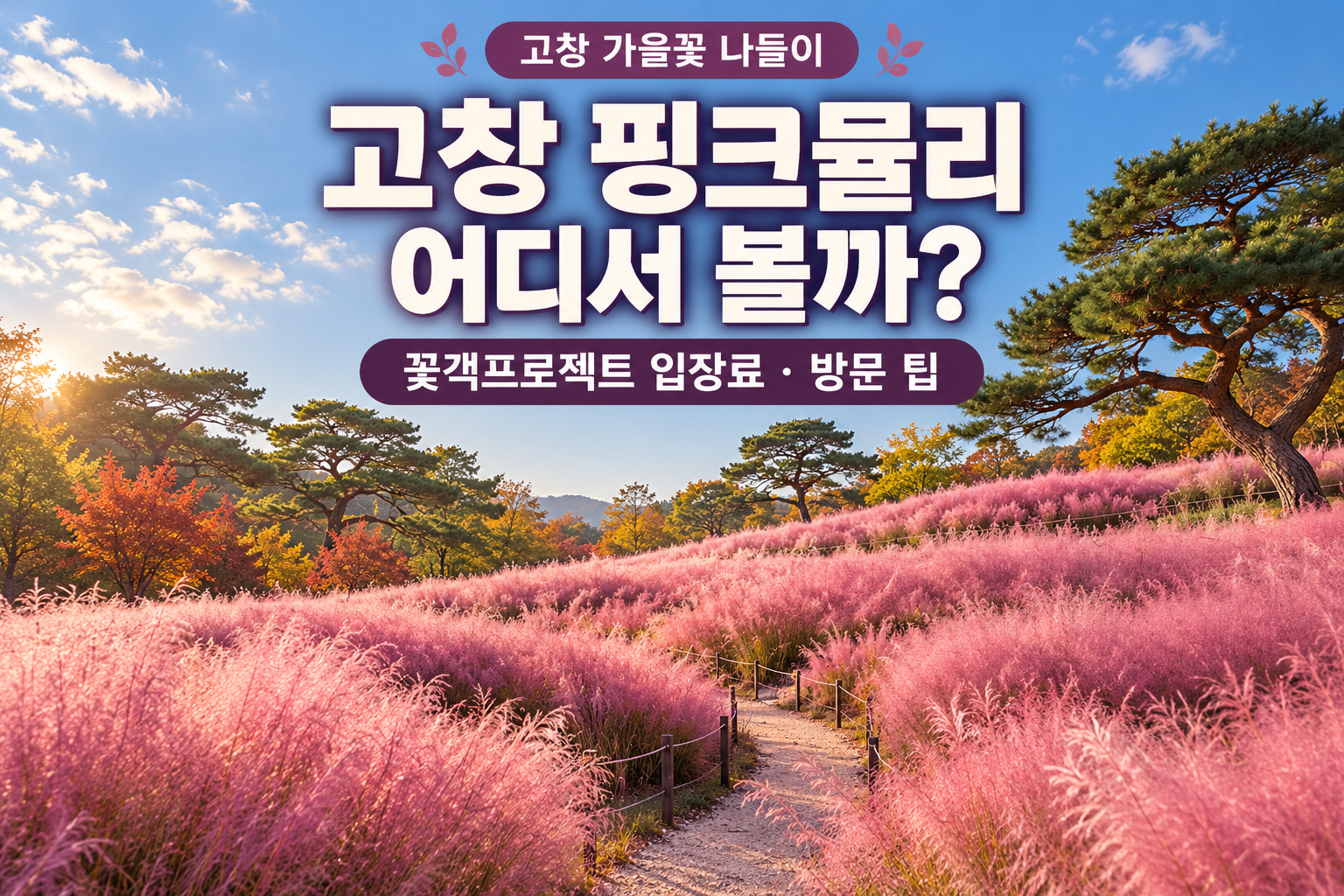 고창 핑크뮬리 어디서 볼까?｜꽃객프로젝트 입장료&middot;방문 팁