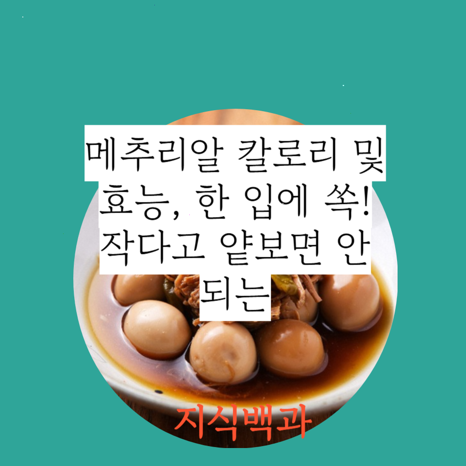 메추리알 칼로리 및 효능, 한 입에 쏙! 작다고 얕보면 안 되는