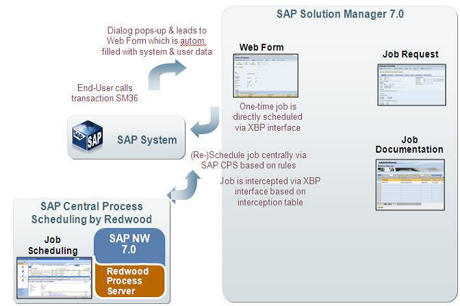 ABAP & 기술 관점