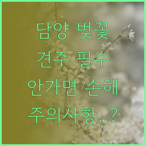 전남 담양 벚꽃 명소와 반려견 동반 ..