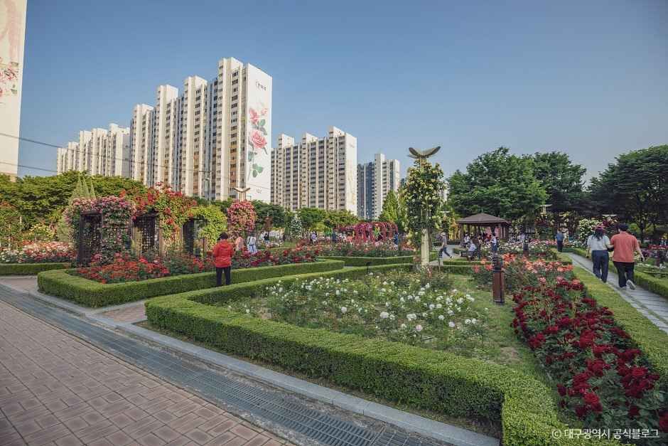 대구 이곡장미공원