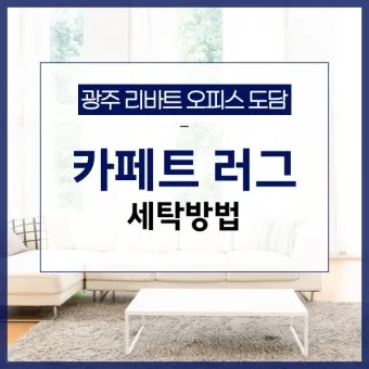 러그 세탁 드라이클리닝 표지 확인과 국소세척 요령_4