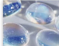 ESFJ 유형 특징 분석