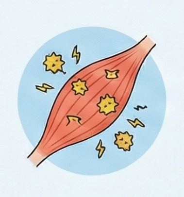 근육 피로 물질 축적